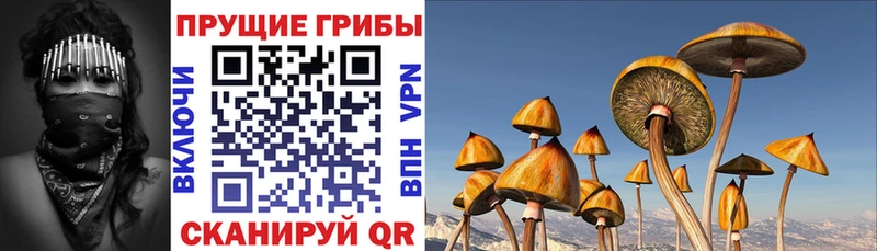 Галлюциногенные грибы ЛСД  Алушта 